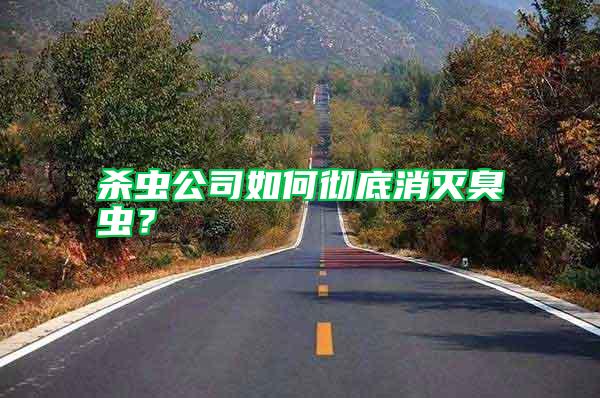 殺蟲公司如何徹底消滅臭蟲？