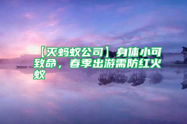 【滅螞蟻公司】身體小可致命,春季出游需防紅火蟻