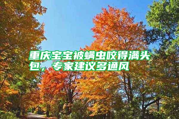 重慶寶寶被螨蟲咬得滿頭包,專家建議多通風