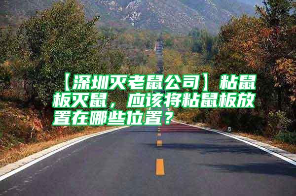 【深圳滅老鼠公司】粘鼠板滅鼠，應該將粘鼠板放置在哪些位置？