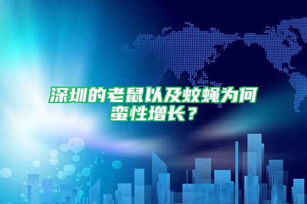 深圳的老鼠以及蚊蠅為何蠻性增長?