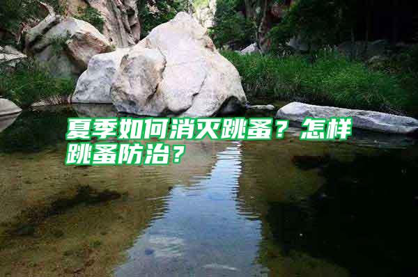 夏季如何消滅跳蚤？怎樣跳蚤防治？