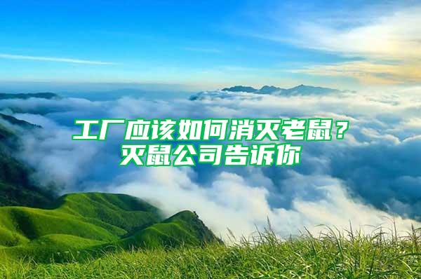 工廠應(yīng)該如何消滅老鼠?滅鼠公司告訴你