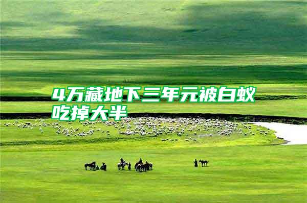 4萬藏地下三年元被白蟻吃掉大半