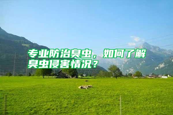 專(zhuān)業(yè)防治臭蟲(chóng),如何了解臭蟲(chóng)侵害情況?