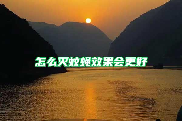 怎么滅蚊蠅效果會更好