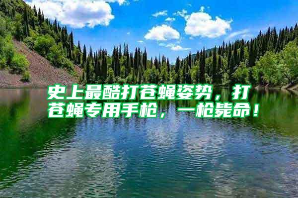 史上最酷打蒼蠅姿勢，打蒼蠅專用手槍，一槍斃命！