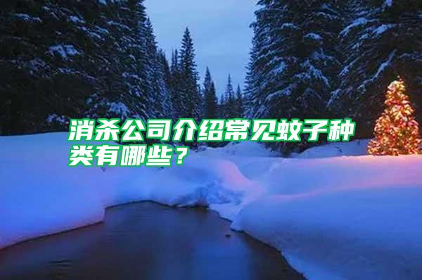 消殺公司介紹常見蚊子種類有哪些？