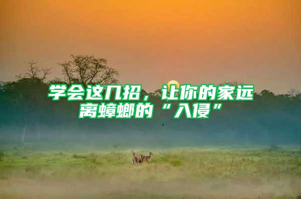 學(xué)會這幾招,讓你的家遠(yuǎn)離蟑螂的“入侵”