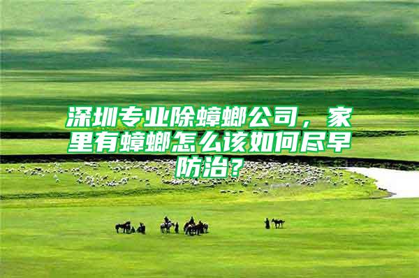 深圳專業(yè)除蟑螂公司，家里有蟑螂怎么該如何盡早防治？