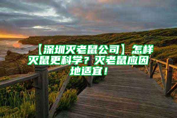 【深圳滅老鼠公司】怎樣滅鼠更科學?滅老鼠應因地適宜!