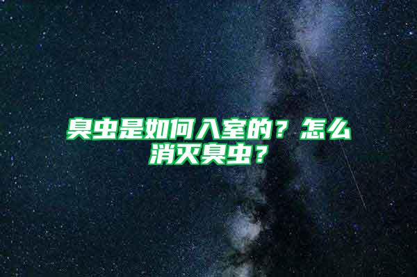 臭蟲是如何入室的?怎么消滅臭蟲?