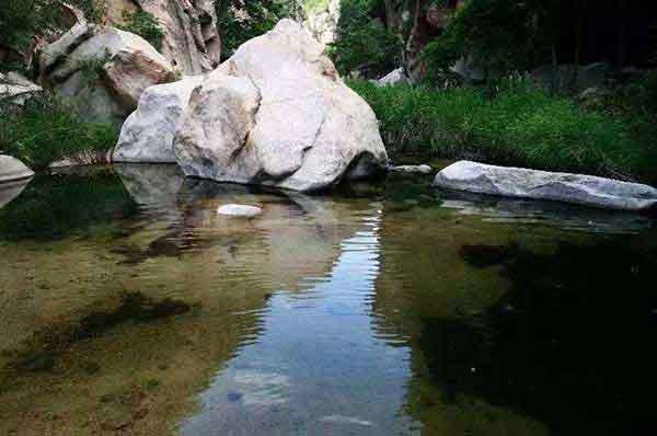 春季愛國衛生運動，你“除四害”了嗎？