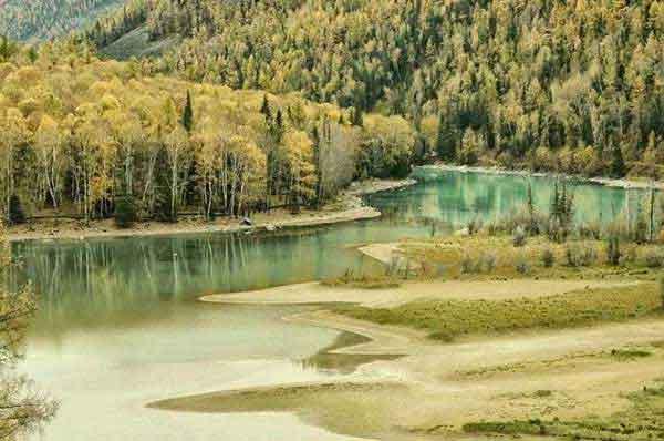 預防為主、防治結合、綜合治理