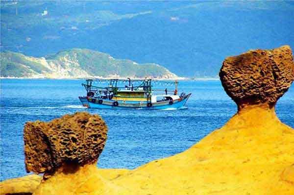 常見的滅鼠方法大全，你家里或許會用得上