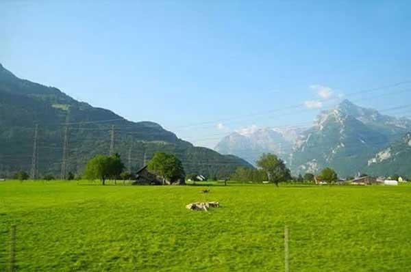 【滅老鼠公司】奇聞！印度人竟把老鼠當作神靈供奉喂養？！