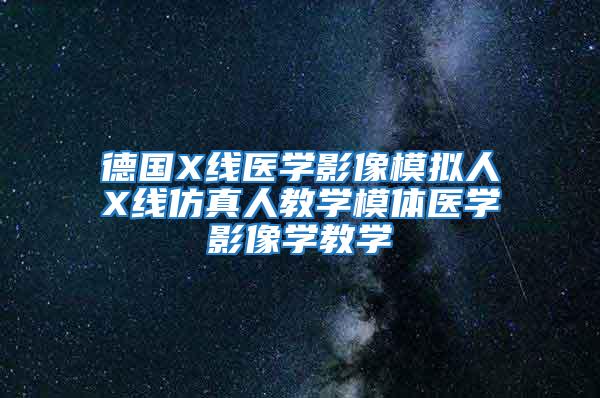 德國X線醫學影像模擬人X線仿真人教學模體醫學影像學教學