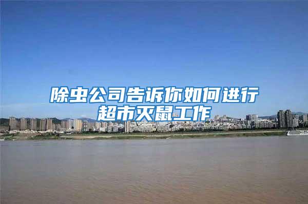 除蟲公司告訴你如何進(jìn)行超市滅鼠工作