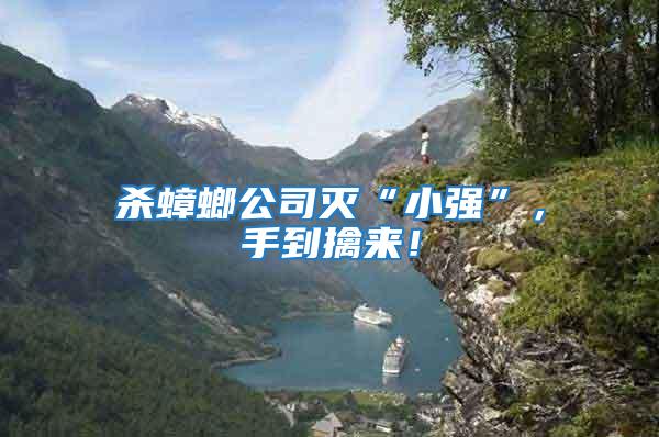 殺蟑螂公司滅“小強”，手到擒來！