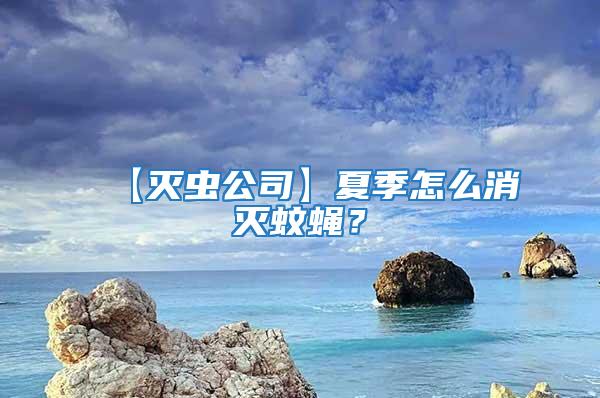 【滅蟲公司】夏季怎么消滅蚊蠅?