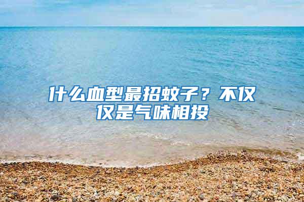 什么血型最招蚊子？不僅僅是氣味相投