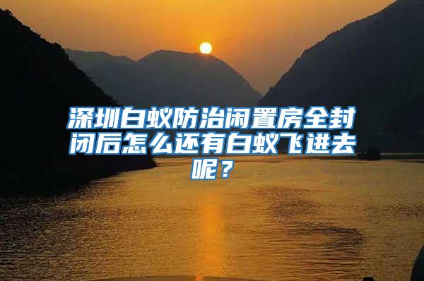 深圳白蟻防治閑置房全封閉后怎么還有白蟻飛進(jìn)去呢?
