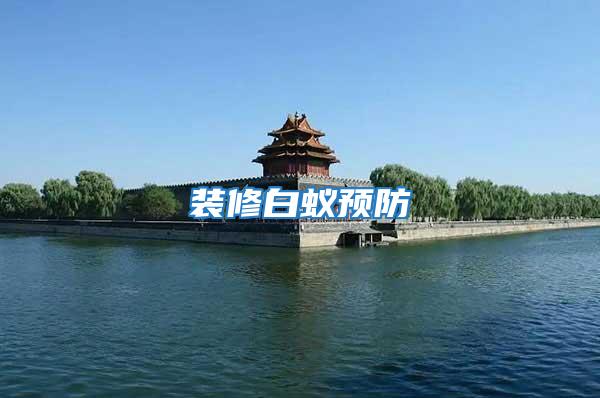 裝修白蟻預防