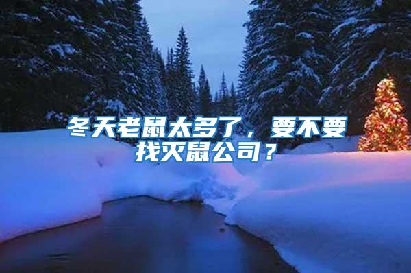 冬天老鼠太多了,要不要找滅鼠公司?