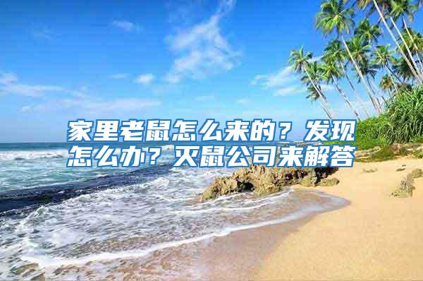 家里老鼠怎么來的?發(fā)現(xiàn)怎么辦?滅鼠公司來解答