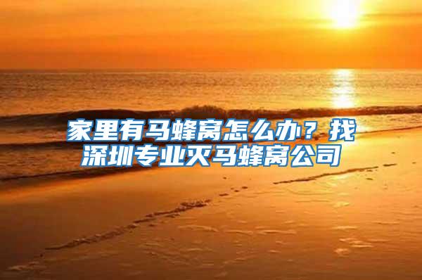 家里有馬蜂窩怎么辦？找深圳專業滅馬蜂窩公司