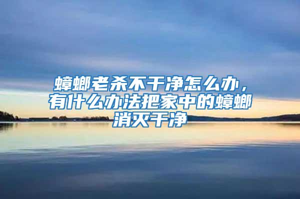 蟑螂老殺不干凈怎么辦,有什么辦法把家中的蟑螂消滅干凈