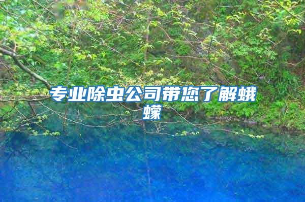 專業除蟲公司帶您了解蛾蠓
