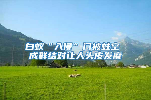 白蟻“入侵”門被蛀空 成群結對讓人頭皮發麻