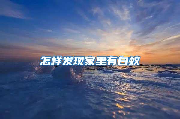 怎樣發現家里有白蟻