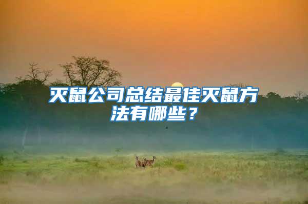 滅鼠公司總結(jié)最佳滅鼠方法有哪些？