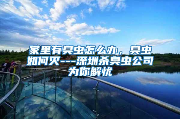 家里有臭蟲怎么辦，臭蟲如何滅---深圳殺臭蟲公司為你解憂
