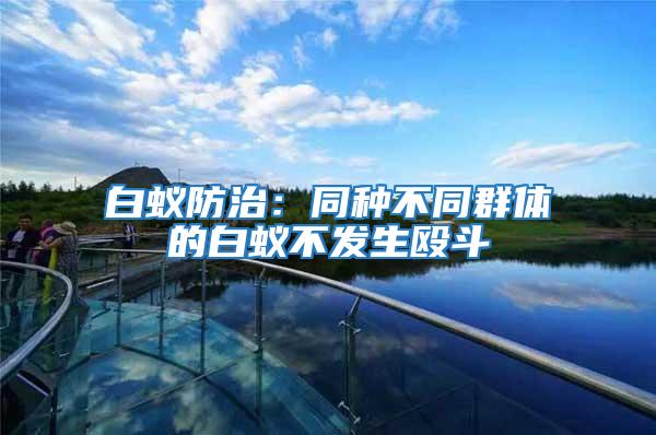 白蟻防治:同種不同群體的白蟻不發(fā)生毆斗