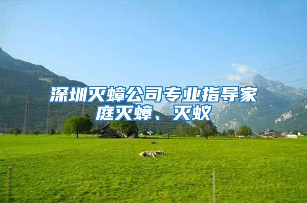 深圳滅蟑公司專業指導家庭滅蟑、滅蟻