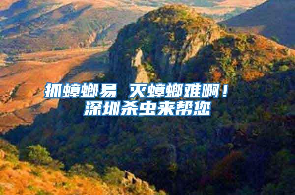 抓蟑螂易 滅蟑螂難?。?深圳殺蟲來幫您