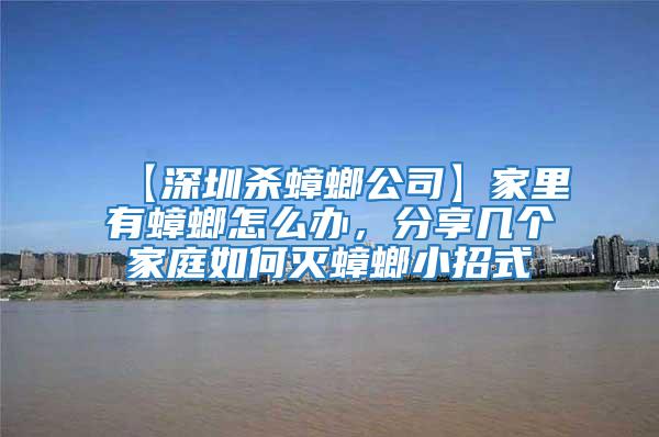 【深圳殺蟑螂公司】家里有蟑螂怎么辦,分享幾個家庭如何滅蟑螂小招式