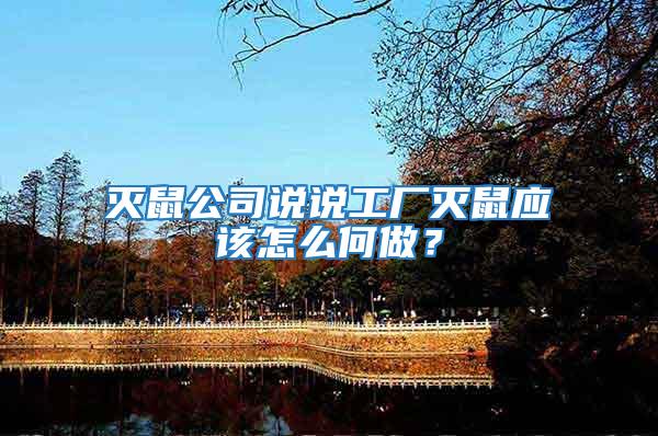 滅鼠公司說說工廠滅鼠應(yīng)該怎么何做?