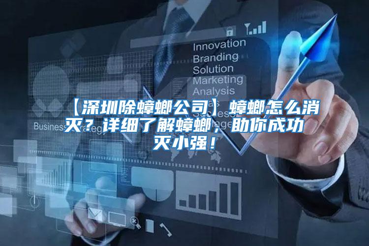 【深圳除蟑螂公司】蟑螂怎么消滅？詳細了解蟑螂，助你成功滅小強！