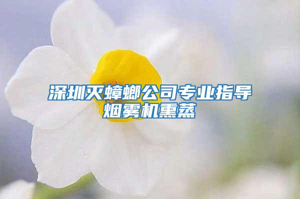 深圳滅蟑螂公司專業(yè)指導(dǎo)煙霧機(jī)熏蒸