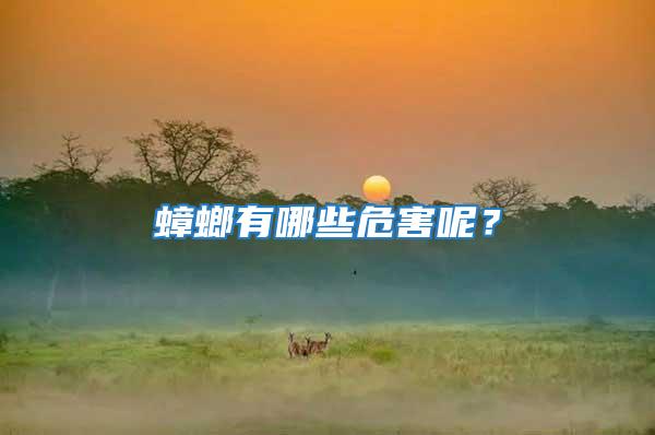 蟑螂有哪些危害呢?