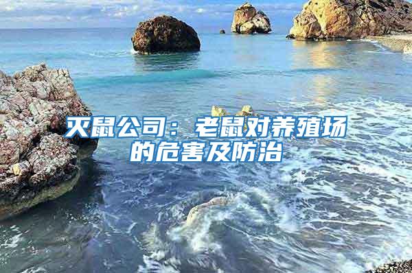 滅鼠公司:老鼠對養(yǎng)殖場的危害及防治
