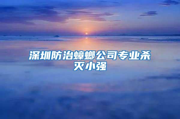 深圳防治蟑螂公司專業(yè)殺滅小強(qiáng)