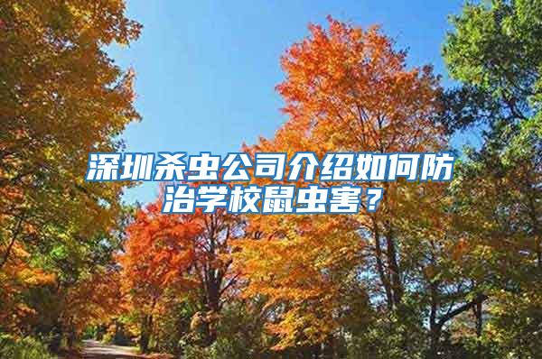 深圳殺蟲公司介紹如何防治學校鼠蟲害?