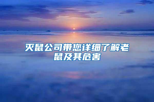 滅鼠公司帶您詳細了解老鼠及其危害