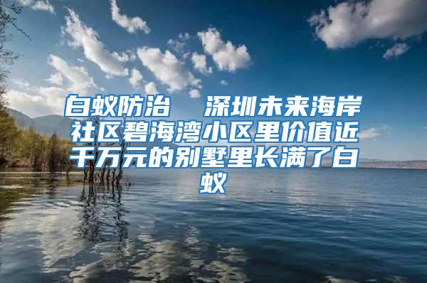 白蟻防治  深圳未來海岸社區(qū)碧海灣小區(qū)里價(jià)值近千萬元的別墅里長(zhǎng)滿了白蟻