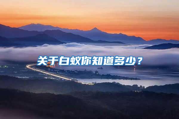 關于白蟻你知道多少?